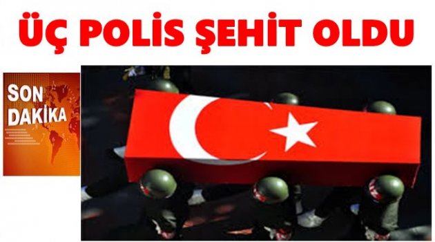 HAİNLER KARADENİZ&#039;E İNDİ