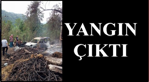 HAYVANLAR TELEF OLDU OTOMOBİL YANDI
