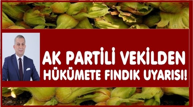 İKTİDAR MİLLETVEKİLİ FINDIĞA ÇÖZÜM İSTEDİ