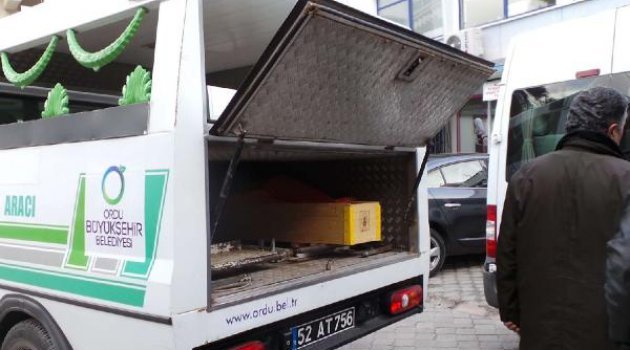 İSPORTO İLE KAFA YAPMAK İSTERKEN CANINDAN OLDU