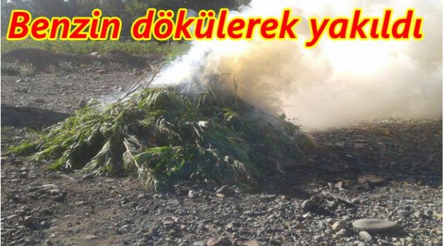 JANDARMA BASKININDA ELE GEÇİRİLDİ