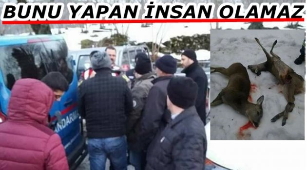 KAÇAK AVCILARA REKOR CEZA