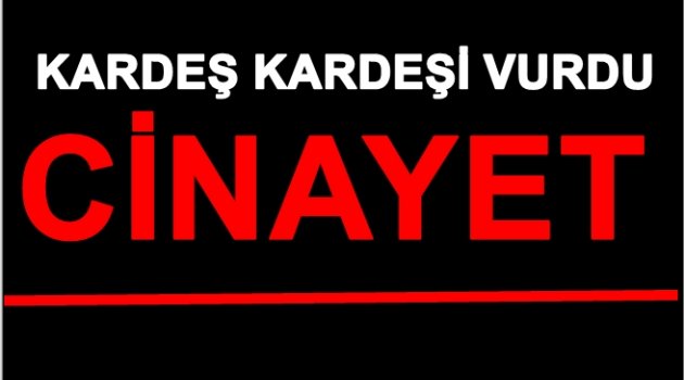 KARDEŞ CİNAYETİ 1 ÖLÜ 1 YARALI