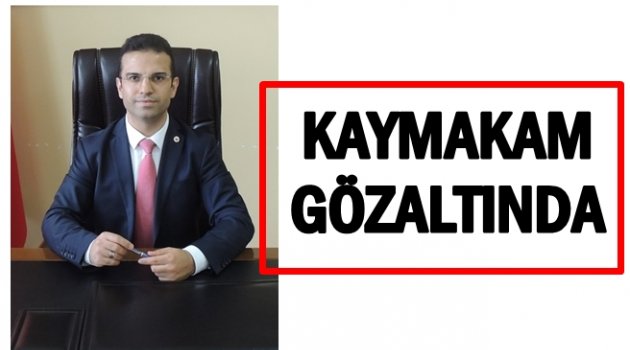KAYMAKAM NEDEN GÖZALTINA ALINDI?