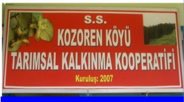 KOZÖREN&#039;DE BAŞKAN DEĞİŞMEDİ