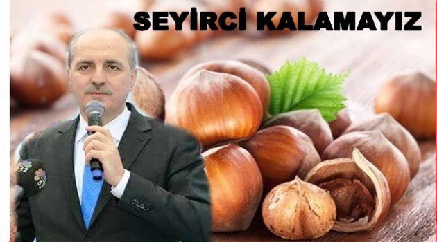 KURTULMUŞ FINDIK FİYATLARI İÇİN KONUŞTU