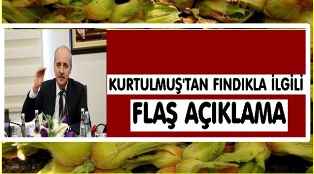 KURTULMUŞ FINDIKLA İLGİLİ NELER SÖYLEDİ