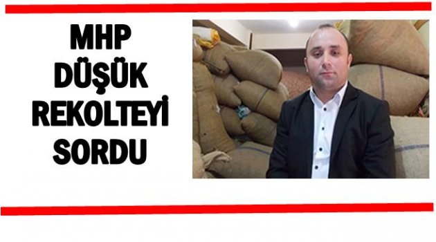 MHP HÜKÜMETE SORDU: FINDIK İÇİN NE YAPTINIZ