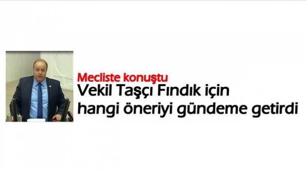 MHP&#039;NİN FINDIK ÖNERGESİ ÜZERİNE TAŞÇI KONUŞTU