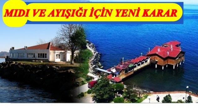 MIDI İLE AYIŞIĞI AYRI İHALE EDİLECEK