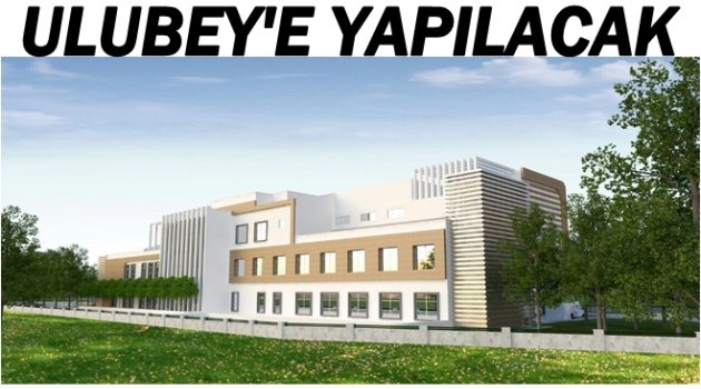 MİLLETVEKİLİ ÇANAK AÇIKLADI