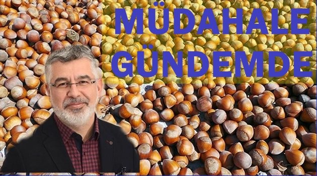 MİLLETVEKİLİ ÇANAK FINDIKLA İLGİLİ KONUŞTU