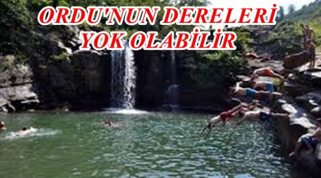 MİLLETVEKİLİ TORUN TEHLİKEYİ İŞARET ETTİ
