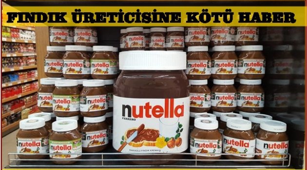 NUTELLA TÜRK FINDIĞINA ALTERNATİF ARIYOR