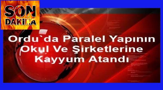 OPERASYON SÜRÜYOR ŞİRKETLERE KAYYUM ATANDI