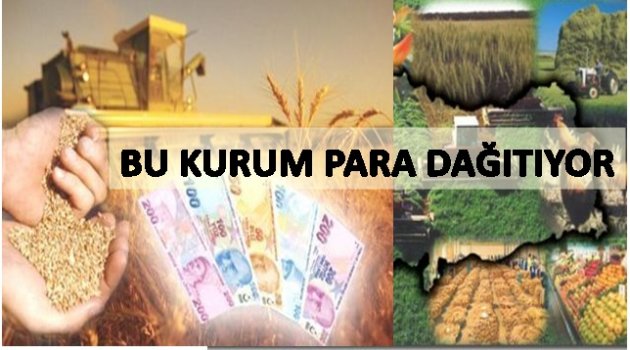 ORDU&#039;DA HANGİ PROJE KAÇ LİRA DESTEK ALDI