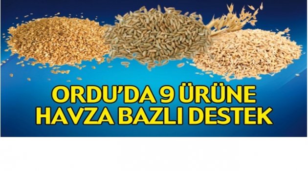 ORDU&#039;DA HANGİ ÜRÜNLERE DESTEK VERİLECEK