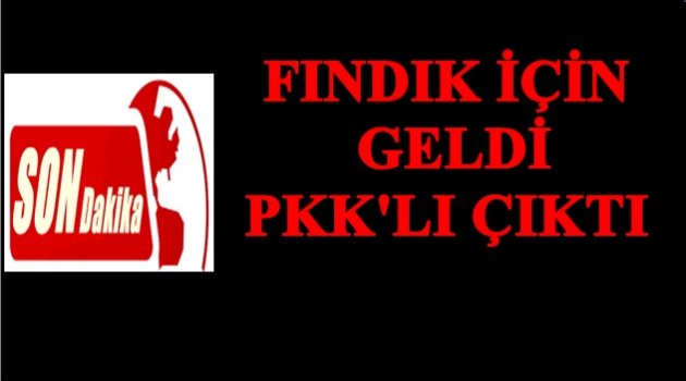 ORDU&#039;DA PKK ÜYESİ YAKALANDI