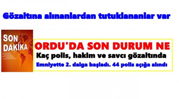 ORDU&#039;DAKİ OPERASYONLARDA SON DURUM AÇIKLANDI