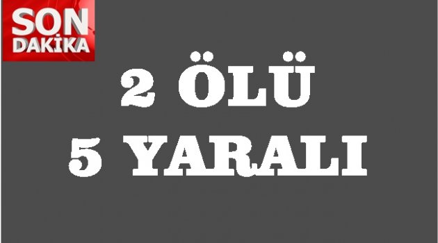 ORDULU AİLE KAZA YAPTI: 2 ÖLÜ 5 YARALI