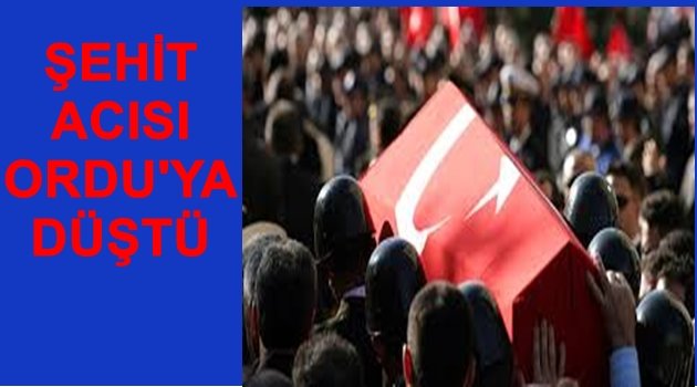 ORDULU UZMAN ÇAVUŞ FATİH EFİLOĞLU ŞEHİT OLDU