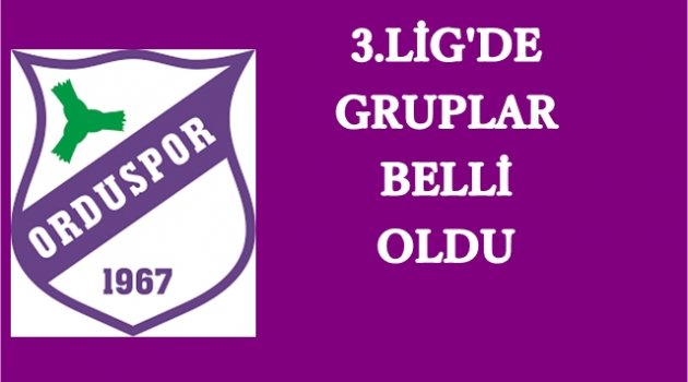 ORDUSPOR HANGİ GRUBA DÜŞTÜ