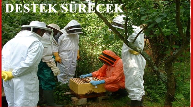 ORMAN KÖYLÜSÜNE DESTEK VAR