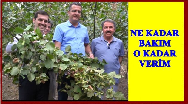 ÖRNEK BAHÇELERDE VERİM ARTTI