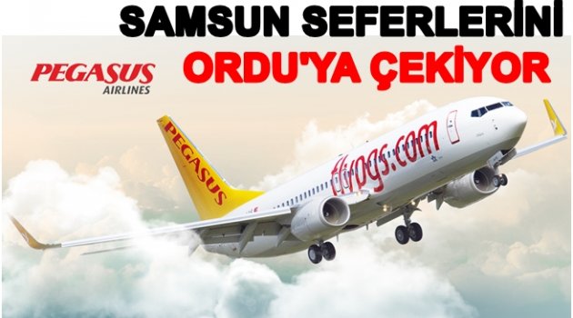 PEGASUS&#039;TAN ORDU-GİRESUN İÇİN FLAŞ KARAR