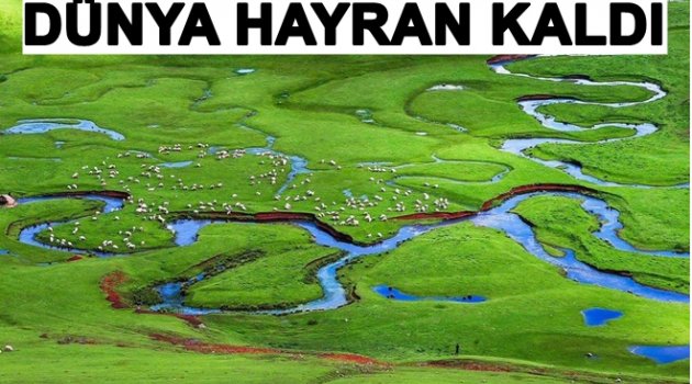 PERŞEMBE YAYLASI&#039;NA ÖDÜL VERİLDİ