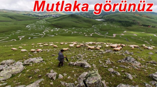 PERŞEMBE YAYLASI&#039;NDA ÇALIŞMALAR TAMAMLANDI