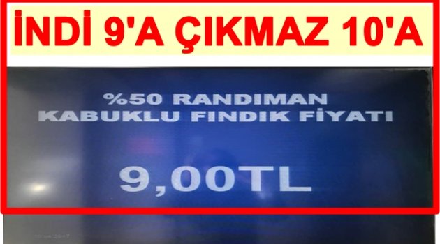 PİYASADA PANİK VAR FİYATLAR DÜŞÜYOR!