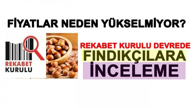 REKABET KURULU FINDIKÇILARI YAKIN TAKİBE ALDU