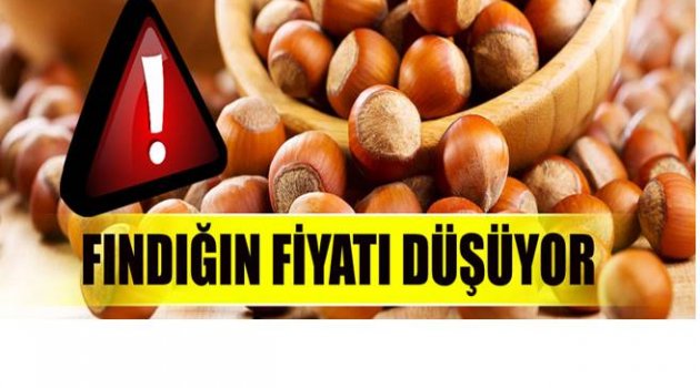 REKOLTE DÜŞÜK FİYATLAR NEDEN YÜKSELMİYOR DİYE SORAN YOK