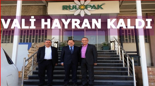 RULOPAK DÜNYAYA İHRACAT YAPIYOR