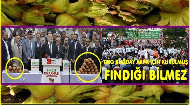 SAADET LİDERİ KARAMOLLAOĞLU EKMEK FINDIK HESABI YAPTI