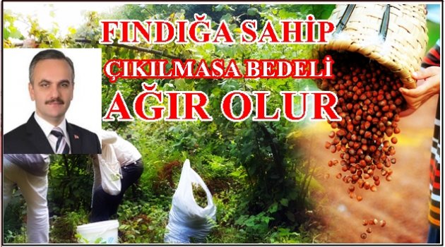 ŞAHİN&#039;DEN ÇOK ÇARPICI FINDIK AÇIKLAMASI