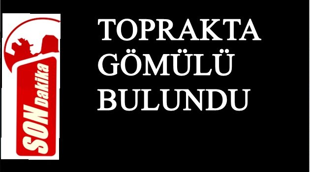 ŞEHİT ASKERLERİN GASP EDİLEN SİLAHLARI BULUNDU