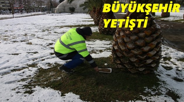 SOKAK HAYVANLARI SAHİPSİZ DEĞİL