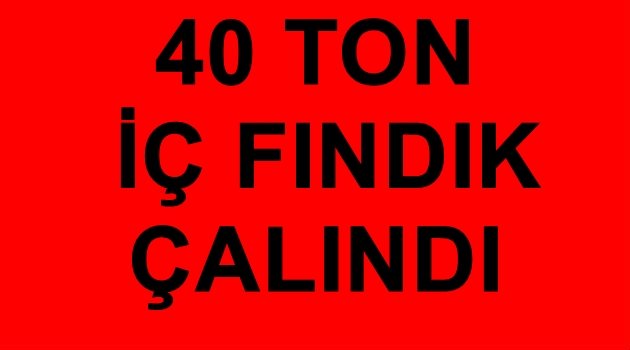 SON YILLARIN EN BÜYÜK FINDIK HIRSIZLIĞI