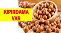 FINDIK FİYATI BUGÜN KAÇ LİRA?