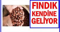FINDIK YÜKSELİŞE GEÇTİ