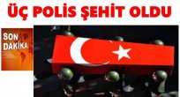 HAİNLER KARADENİZ'E İNDİ