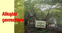 ÇEVRECİLER İKİ AĞACI KORUMA ALTINA ALDIRDI