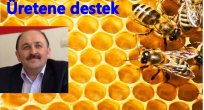 DESTEK PARALARI HESABA YATTI