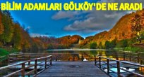 DÜNYANIN DÖRT BİR YANINDAN PROFESÖRLER GÖLKÖY'DE BULUŞTU