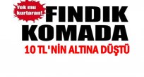 FINDIK PİYASASI KARIŞTI FİYATLAR DÜŞTÜ