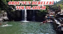 MİLLETVEKİLİ TORUN TEHLİKEYİ İŞARET ETTİ