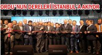 ORDU İSTANBUL'DA