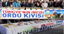 ORDU KİVİDE SÖZ SAHİBİ OLUYOR